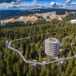 shutterstock 2442536703